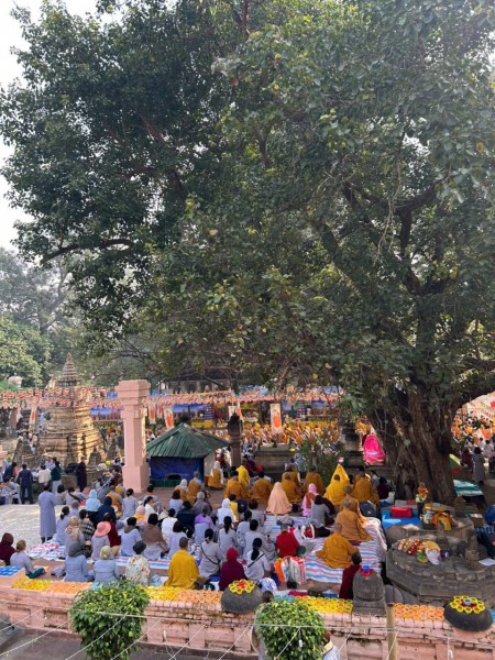 ĐẶT TOUR HÀNH HƯƠNG ẤN ĐỘ NEPAL MỚI NHẤT 2026 9N8Đ TỪ HÀ NỘI TP HỒ CHÍ MINH CHIÊM BÁI TỨ THÁNH TÍCH HÀNH THIỀN VÀ TẬP TU GIẢM GIÁ CHO QUÝ TĂNG NI PHẬT TỬ