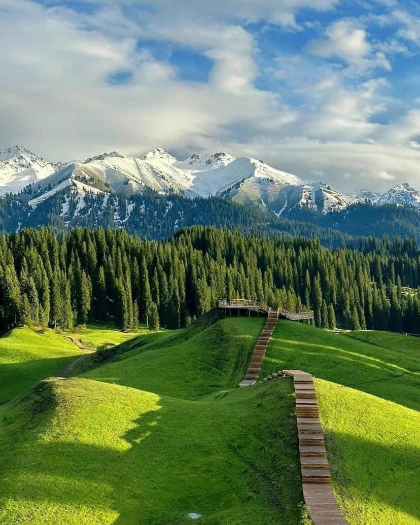 KHÁM PHÁ VÙNG ĐẤT HUYỀN BÍ NHẤT TRUNG QUỐC TÂN CƯƠNG MIỀN BẮC BẢN ĐẶC BIỆT 2026 10N9Đ CÁNH ĐỒNG HOA LAVENDER – THẢO NGUYÊN NALATI HỒ KANAS LÀNG HÒA MỘC XINH ĐẸP 