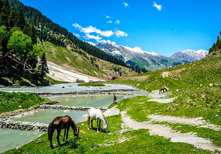 TOUR KASHMIR VÙNG ĐẤT ĐỊA ĐÀNG ẤN ĐỘ  7 NGÀY 6 ĐÊM TỪ HÀ NỘI VÀ TP HỒ CHÍ MINH DELHI – SRINAGAR – VƯỜN SHALIMAR – ĐỒI SONAMARG – PAHALGAM – SÔNG BĂNG THAJIWAS 