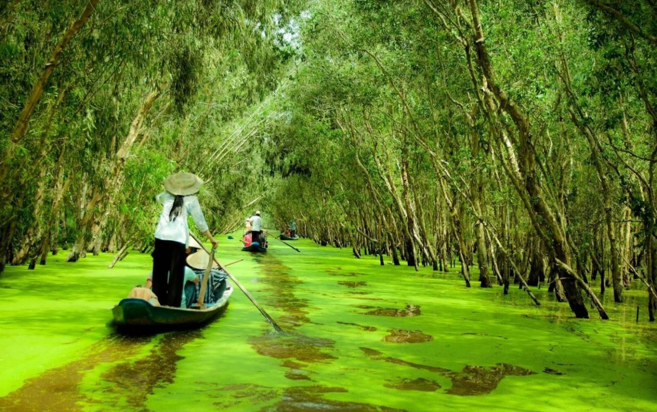  HÀ NỘI - CẦN THƠ-BẠC LIÊU-CÀ MAU-RỪNG TRÀM TRÀ SƯ CHÂU ĐỐC
