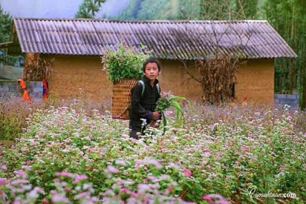HÀ NỘI -HOÀNG SU PHÌ-SIMACAI - BẮC HÀ 