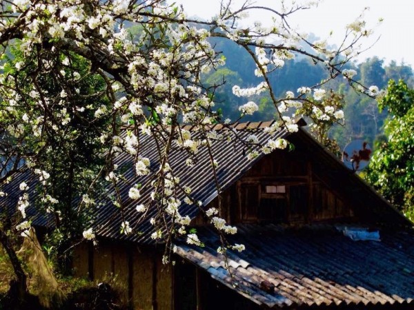 HÀ NỘI - HÀ GIANG- LÀO CAI-BẮC HÀ -THẢI GIÀNG PHỐ