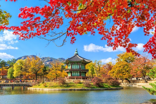 TOUR DU LỊCH HÀN QUỐC MÙA HÈ THU KHI NHỮNG HÒN ĐẢO NỔI TIẾNG VÀ CÔNG VIÊN XINH ĐẸP KHOÁC ÁO VÀNG TOUR 6N5D TỪ TP HCM - HÀ NỘI - BUSAN -SEOUL– ĐẢO NAMI – INCHEON