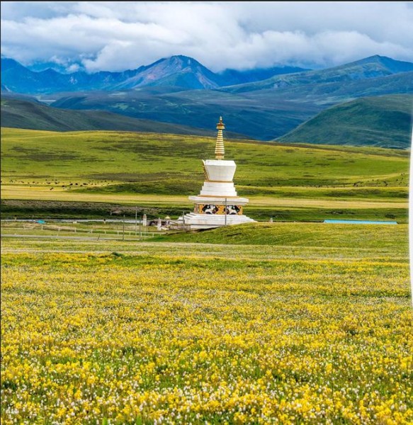 TOUR Á ĐINH – ĐẠO THÀNH – KHANG ĐỊNH GIÁ RẺ 8 NGÀY 8 ĐÊM TỪ HÀ NỘI - TP  HỒ CHÍ MINH ĐỪNG BỎ LỠ MÙA THU LÁ VÀNG RẤT NGẮN NƠI TIÊN CẢNH ĐƯỜNG MÂY XỨ TUYẾT SHANGRILA