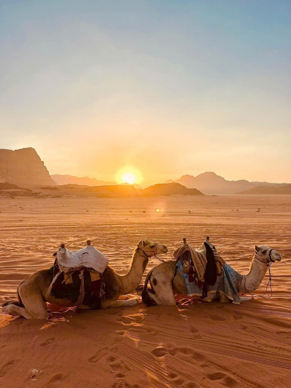 HÀNH HƯƠNG CÔNG GIÁO 2026 THEO DẤU CHÂN CHÚA VỀ VÙNG ĐẤT THÁNH AI CẬP – JORDAN – ISRAEL TOUR 13 NGÀY 12 ĐÊM CÓ CHA  LINH HƯỚNG VÀ THÁNH LỄ MỖI NGÀY NHẬN GHÉP KHÁCH TỪ HÀ NỘI TP HỒ CHÍ MINH