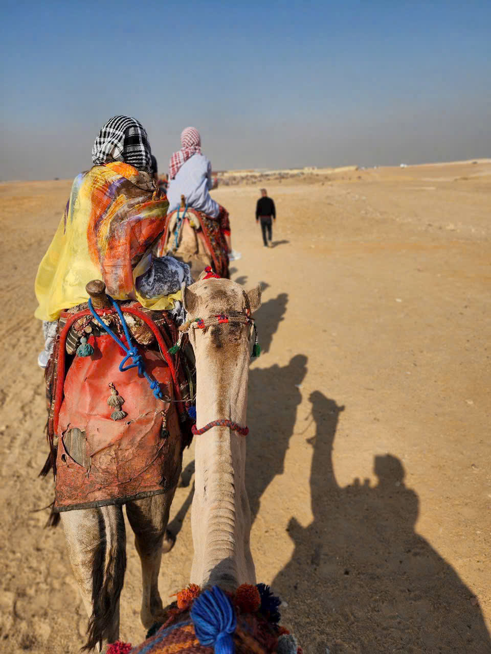 HÀNH TRÌNH ĐỘC LẠ 2026 LIÊN TUYẾN AI CẬP – JORDAN – ISRAEL 15 NGÀY 14 ĐÊM ĐI TÌM NHỮNG VÙNG ĐẤT CỔ TÍCH BÍ ẨN VÀ LINH THIÊNG TOUR KHỞI HÀNH TỪ HÀ NỘI TP HỒ CHÍ MINH 