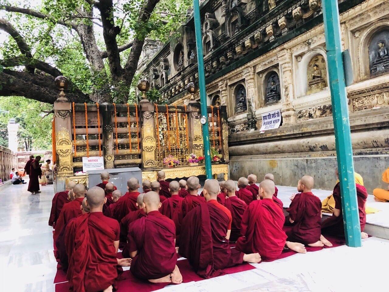 TOUR HÀNH HƯƠNG TỨ ĐỘNG TÂM ẤN ĐỘ - NEPAL TỪ HÀ NỘI SÀI GÒN HÀNH TRÌNH TÌM VỀ MIỀN AN LẠC VỚI LỊCH TRÌNH VÀ CHI PHÍ HỢP LÝ 