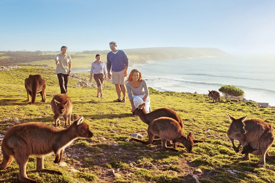 VISA DU LỊCH ÚC THEO TOUR CÓ DỄ  ĐẬU TOUR ÚC (AUSTRALIA) 2025 CHẤT LƯỢNG CAO BAY THẲNG TIẾT KIỆM THỜI GIAN VÀ CHI PHÍ TỪ HÀ NỘI MELBOURNE CANBERRA SYDNEY 8 NGÀY 7 ĐÊM 