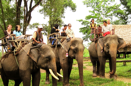 HÀ NỘI - NHA TRANG - BUÔN MÊ THUỘT