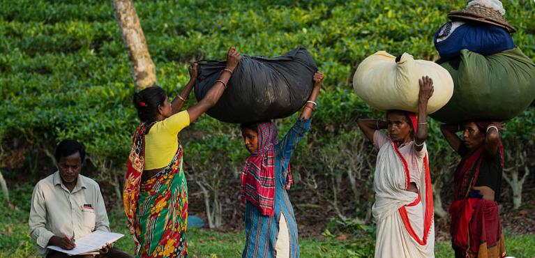 TOUR MỚI 2026 KHÁM PHÁ VÙNG ĐẤT NAM Á KỲ THÚ HOANG SƠ BANGLADESH (BĂNG LA ĐÉT) KHỞI HÀNH TỪ HÀ NỘI TP HỒ CHÍ MINH THỦ ĐÔ DHAKA BẢN FULL 12 NGÀY 11 ĐÊM 