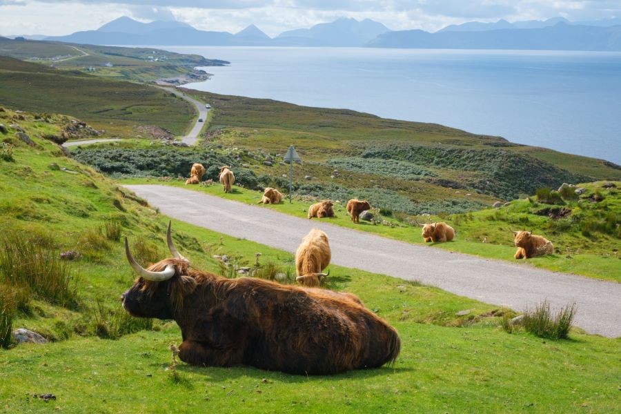 TOUR HÀ NỘI - VƯƠNG QUỐC ANH - XỨ WALES - SCOTLAND - NHỮNG VÙNG ĐẤT CỔ KÍNH THANH LỊCH VÀ BÍ ẨN