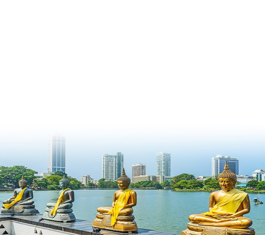 HÀNH HƯƠNG SRILANKA CHƯA BAO GIỜ GẦN ĐẾN THẾ VỚI CHUYẾN BAY THẲNG VIETNAM AIRLINES TỪ TP HCM HÀ NỘI ĐÀ NẴNG BẢN FULL CAO CẤP 9 NGÀY 8 ĐÊM 