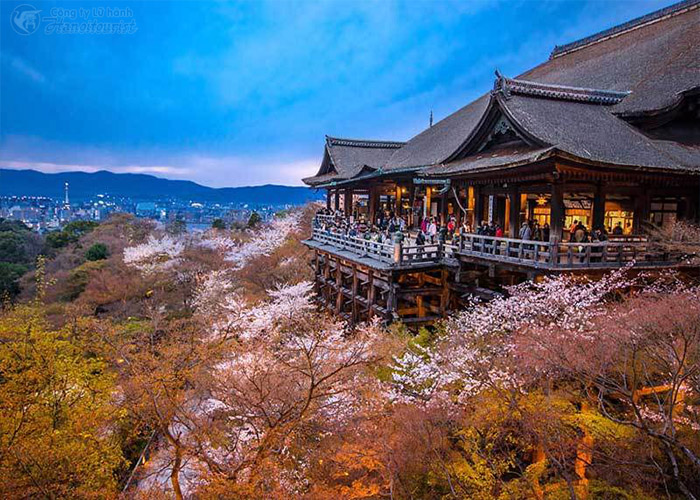 DU LỊCH NHẬT BẢN XIN VISA CÓ KHÓ KHÔNG TOUR NHẬT CHECK IN NHỮNG ĐIỂM HOA ANH ĐÀO ĐỘC LẠ GIÁ RẺ THỦ TỤC ĐƠN GIẢN VISA ĐẬU CAO 6N5Đ TỪ HÀ NỘI -TP HCM NAGOYA - KYOTO - MATSUMOTO - LÀNG CỔ SHIRAKAWAGO - NÚI PHÚ SĨ - TOKYO 