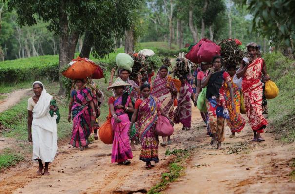 DU LỊCH BANGLADESH BẢN RÚT GỌN 8 NGÀY 7 ĐÊM KHÁM PHÁ ĐẤT NƯỚC CỦA NHỮNG DI SẢN GIAO THOA NHIỀU NỀN VĂN HÓA ĐỘC ĐÁO NHẬN GHÉP KHÁCH TỪ HÀ NỘI SÀI GÒN  
