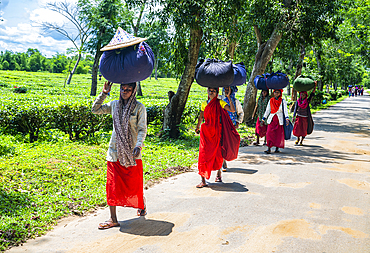 TOUR MỚI 2026 KHÁM PHÁ VÙNG ĐẤT NAM Á KỲ THÚ HOANG SƠ BANGLADESH (BĂNG LA ĐÉT) KHỞI HÀNH TỪ HÀ NỘI TP HỒ CHÍ MINH THỦ ĐÔ DHAKA BẢN FULL 12 NGÀY 11 ĐÊM 