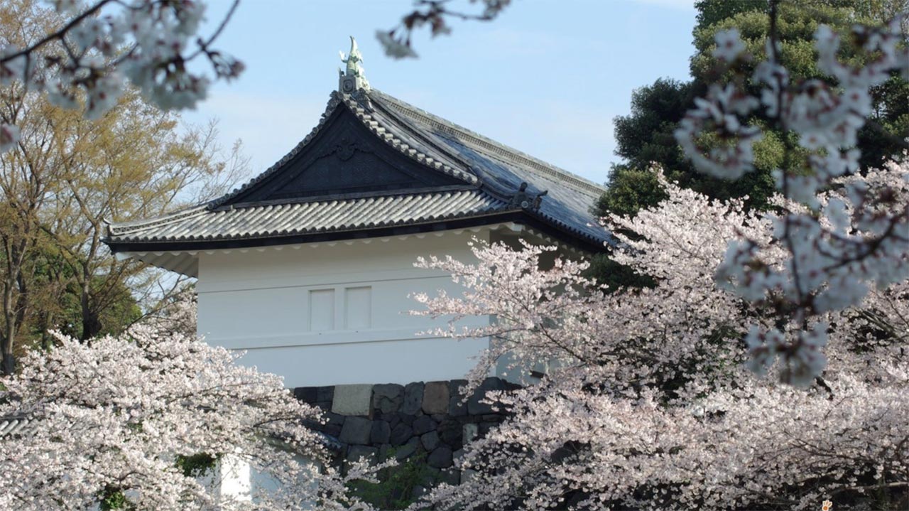 TOUR NHẬT BẢN ĐẶC BIỆT NGẮM HOA ANH ĐÀO TẠI HOKKAIDO TOUR 6 NGÀY 5 ĐÊM CHẤT LƯỢNG CAO KHỞI HÀNH DỊP LỄ 30-4-1.5 TỪ HÀ NỘI - TP HCM - TOKYO –  NORIBETSU – SAPPORO – OTARU BAY HK 5* ALL NIPPON AIRWAYS