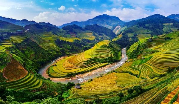 MÙ CANG CHẢI MÙA LÚA CHÍN DU LỊCH TÂY BẮC MỘT TRONG NHỮNG ĐIỂM CHECK IN ĐẸP NHẤT TOUR 2 NGÀY 1 ĐÊM TỪ HÀ NỘI 