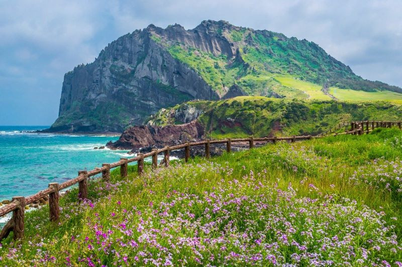 TOUR HÀN QUỐC ĐẶC BIỆT NHẤT 2025 TỪ HÀ NỘI- TP HCM - SEOUL- ĐẢO JEJU- DU THUYỀN ĐẢO UDO- ECO LAND THEME PARK JEJU-BÃI BIỂN HAMDEOK- HONGDEA STREET- ĐẢO NAMI 6N5Đ NHỮNG HÒN ĐẢO CHẮP CÁNH TÌNH YÊU 