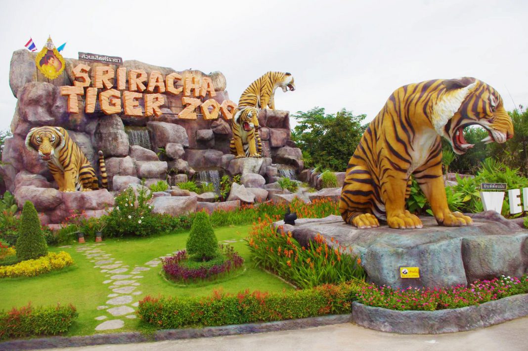 TOUR THÁI LAN TRỌN GÓI GIÁ RẺ HÀ NỘI - BANGKOK – PATTAYA- ĐẢO CORAL - HÀ NỘI 5 NGÀY 4 ĐÊM SUMMIT TRAVEL CHUYÊN TOUR THÁI 