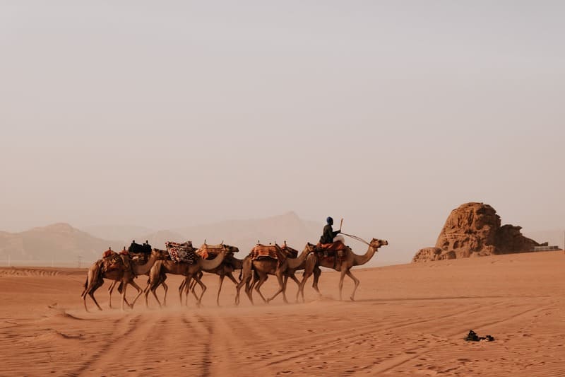 TOUR DU LỊCH AI CẬP JORDAN TỪ HÀ NỘI - SÀI SÒN - HÀNH TRÌNH CHẠM TỚI NHỮNG NỀN VĂN MINH CỔ ĐẠI   