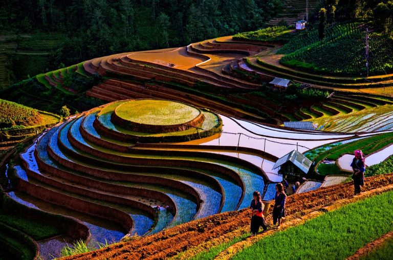 MÙ CANG CHẢI MÙA LÚA CHÍN DU LỊCH TÂY BẮC MỘT TRONG NHỮNG ĐIỂM CHECK IN ĐẸP NHẤT TOUR 2 NGÀY 1 ĐÊM TỪ HÀ NỘI 