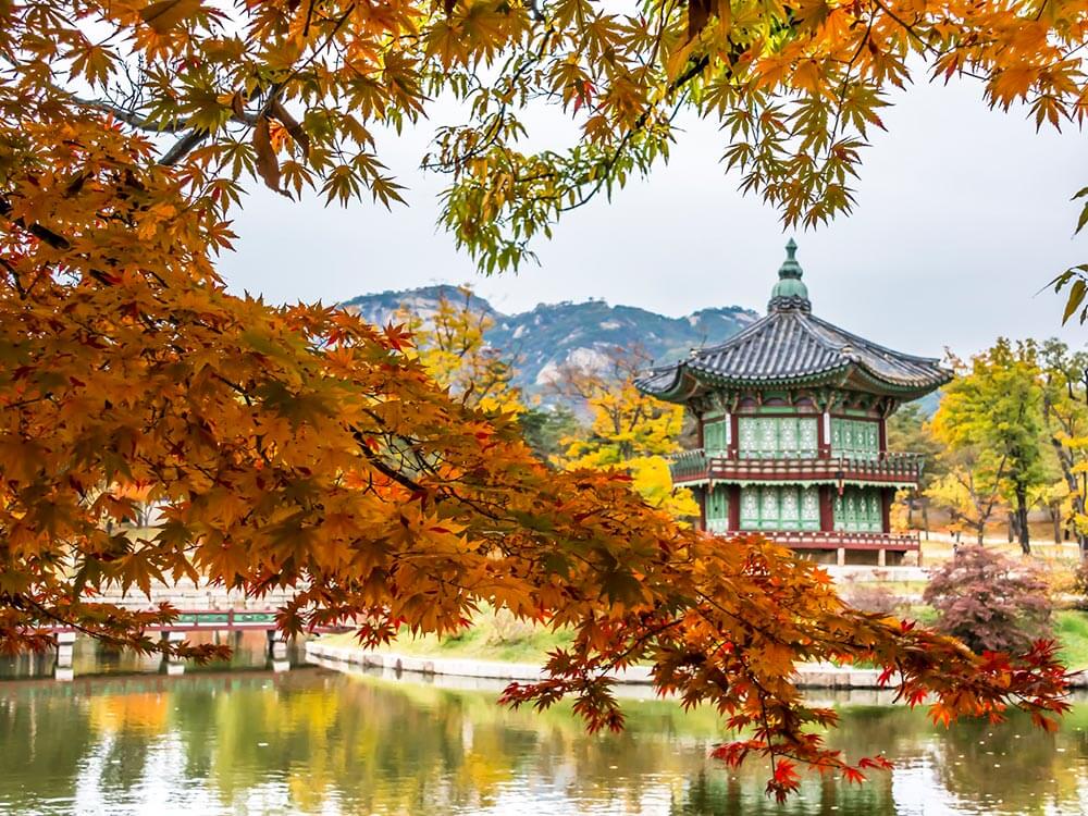 TOUR DU LỊCH HÀN QUỐC MÙA HÈ THU KHI NHỮNG HÒN ĐẢO NỔI TIẾNG VÀ CÔNG VIÊN XINH ĐẸP KHOÁC ÁO VÀNG TOUR 6N5D TỪ TP HCM - HÀ NỘI - BUSAN -SEOUL– ĐẢO NAMI – INCHEON