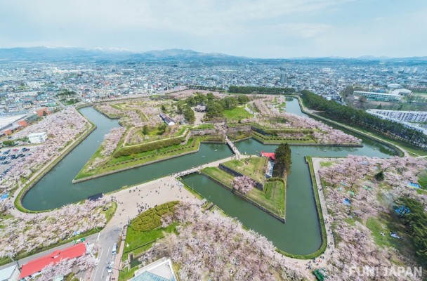 TOUR NHẬT BẢN ĐẶC BIỆT NGẮM HOA ANH ĐÀO TẠI HOKKAIDO TOUR 6 NGÀY 5 ĐÊM CHẤT LƯỢNG CAO KHỞI HÀNH DỊP LỄ 30-4-1.5 TỪ HÀ NỘI - TP HCM - TOKYO –  NORIBETSU – SAPPORO – OTARU BAY HK 5* ALL NIPPON AIRWAYS
