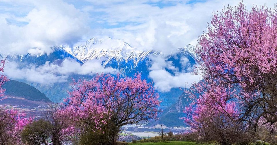 TÂY TẠNG HUYỀN BÍ 2026 CHẠM TAY VÀO KỲ QUAN TRIỆU NĂM SÔNG BĂNG LAI CỔ(LAIGU) SÔNG BĂNG MỄ ĐÔI THẢO NGUYÊN LULANG XEM THỤ TÁNG TỪ HÀ NỘI & TP HỒ CHÍ MINH BẢN RÚT GỌN 6N5Đ 