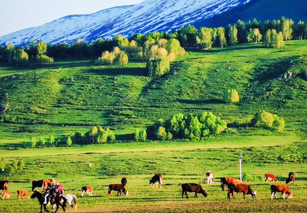 TOUR DU LỊCH TÂN CƯƠNG GIÁ RẺ - URUMQI-VỊNH NGŨ SĂC-HỒ KANAS-LÀNG HÒA MỘC-HỒ THIÊN TRÌ
