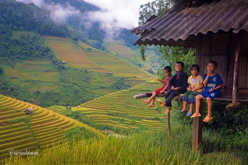 HÀ NỘI -YÊN BÁI - MÙ CĂNG CHẢI MÙA LÚA CHÍN