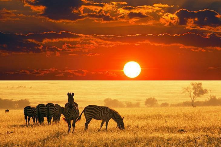 TOUR DU LỊCH NAM PHI TỪ HÀ NỘI - JOHANNESBURG -PRETORIA-CAPE TOWN -HERMANUS