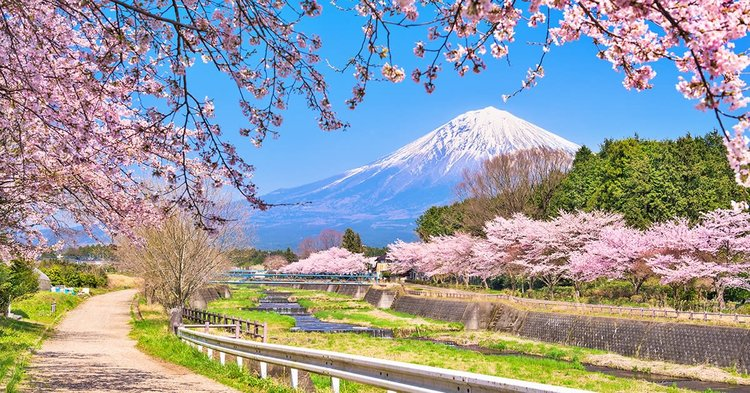 TOUR NHẬT BẢN ĐẶC BIỆT NGẮM HOA ANH ĐÀO TẠI HOKKAIDO TOUR 6 NGÀY 5 ĐÊM CHẤT LƯỢNG CAO KHỞI HÀNH DỊP LỄ 30-4-1.5 TỪ HÀ NỘI - TP HCM - TOKYO –  NORIBETSU – SAPPORO – OTARU BAY HK 5* ALL NIPPON AIRWAYS