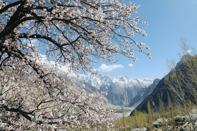 TOUR DU LỊCH PAKISTAN TỪ HÀ NỘI - DU LỊCH HUNZA PAKISTAN NƠI MÙA XUÂN REO CA