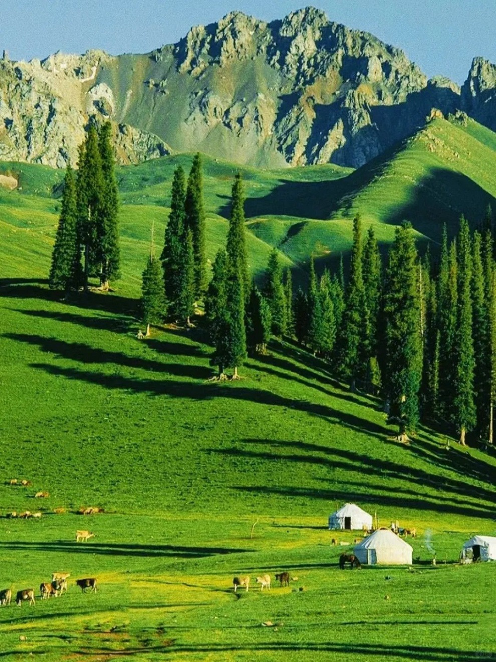 KHÁM PHÁ TÂN CƯƠNG TRUNG QUỐC TRÁI TIM CON ĐƯỜNG TƠ LỤA HUYỀN THOẠI MỘT HÀNH TRÌNH TOÀN CẢNH 2 MIỀN NAM BẮC 11 NGÀY 10 ĐÊM TOUR GIÁ RẺ TỪ HÀ NỘI SÀI GÒN 