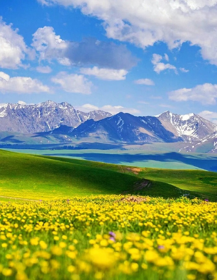 KHÁM PHÁ VÙNG ĐẤT HUYỀN BÍ NHẤT TRUNG QUỐC TÂN CƯƠNG MIỀN BẮC BẢN ĐẶC BIỆT 2026 10N9Đ CÁNH ĐỒNG HOA LAVENDER – THẢO NGUYÊN NALATI HỒ KANAS LÀNG HÒA MỘC XINH ĐẸP 