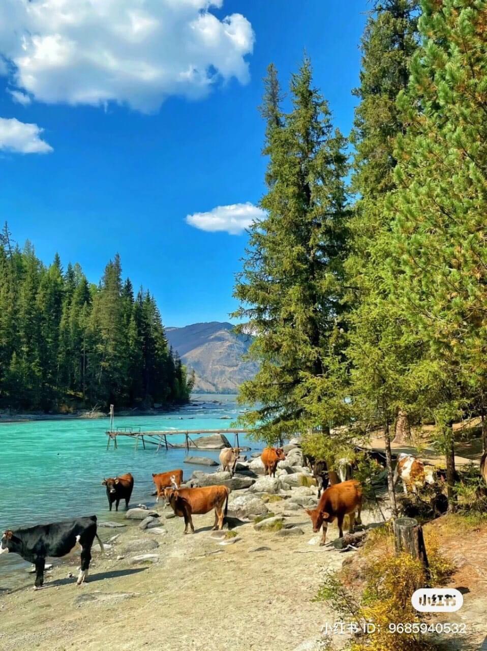 TOUR HÀ NỘI - BẮC TÂN CƯƠNG GIÁ RẺ – URUMQI – KUITUN – YINING – NALATI - HÀNH TRINH THEO DẤU CON ĐƯỜNG TƠ LỤA HUYỀN THOẠI