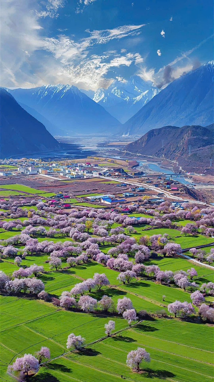 TOUR HÀ NỘI SÀI GÒN THÀNH ĐÔ LÂM CHI –TÂY TẠNG LHASA – POTALA CUNG - THÁNH HỒ YAMDROK - BẠCH THÁP TỰ – SHIGATSE BẢN RÚT GỌN 7 NGÀY 6 ĐÊM GIÁ TIẾT KIỆM 