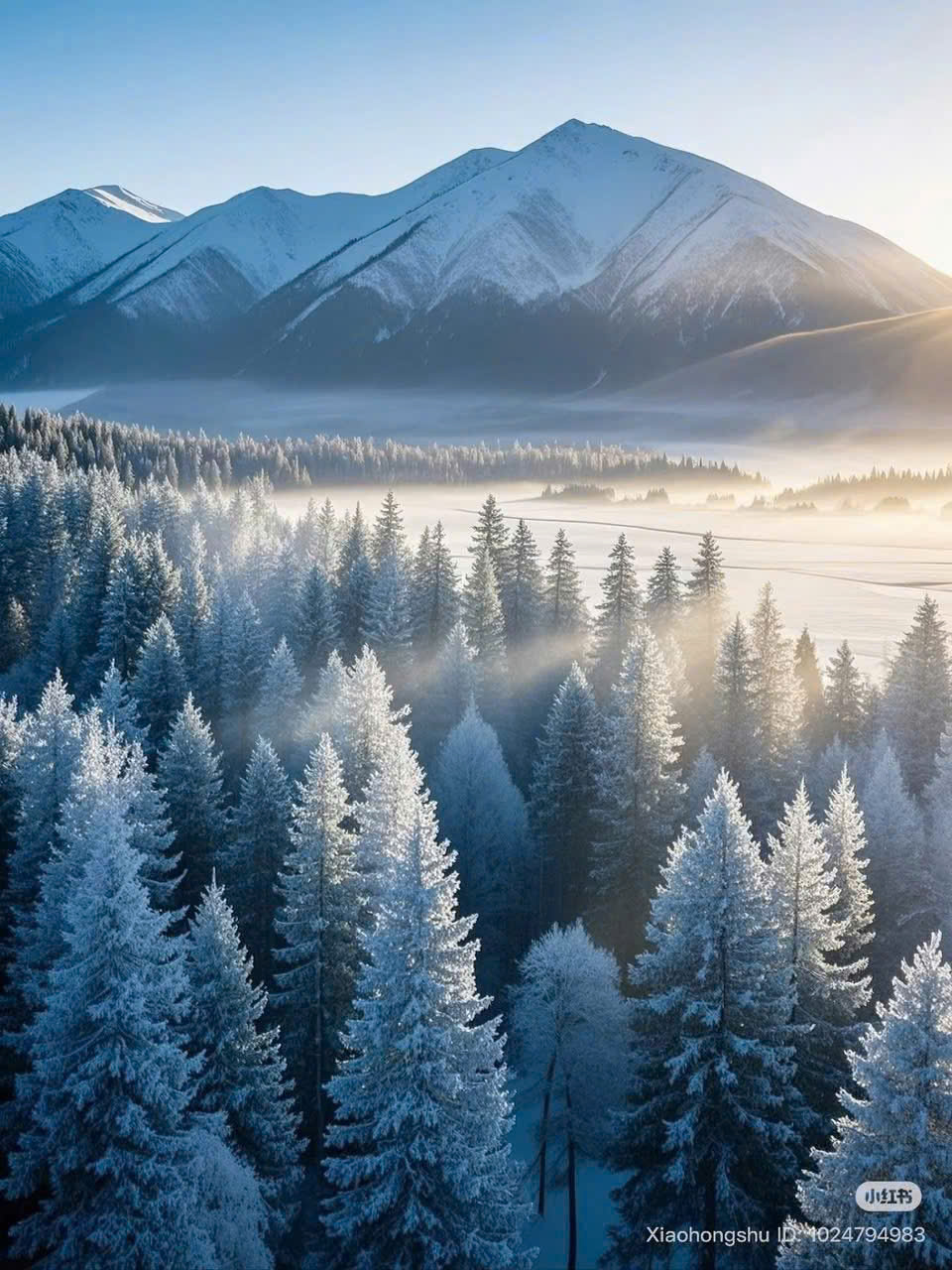 TÂN CƯƠNG MÙA ĐÔNG ĐẸP NHƯ MỘNG TĨNH NHƯ THƠ TỰA BỨC TRANH THIÊN SƠN TUYẾT TRẮNG KỲ ẢO TOUR 8 NGÀY 7 ĐÊM TỪ HÀ NỘI TP HỒ CHÍ MINH 