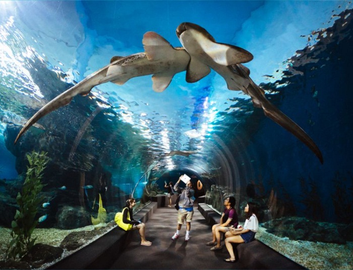 HÀ NỘI - NHA TRANG - BUÔN MÊ THUỘT