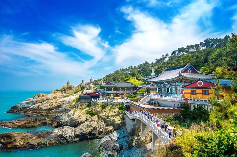 DU LỊCH HÀN QUỐC MÙA NÀO ĐẸP NHẤT NẾU BẠN MUỐN THẤY SẮC VÀNG NGẬP TRÀN LÃNG MẠN HÃY ĐẾN HÀN QUỐC MÙA HÈ SANG THU TOUR TP HCM HÀ NỘI -BUSAN - DU THUYỀN -TÀU VEN BIỂN - SEOUL - NAMI 6 NGÀY 5 ĐÊM GIẢM GIÁ SÂU 