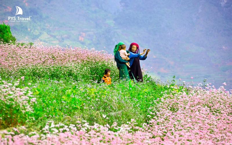 HÀ NÔI -HÀ GIANG MÙA HOA TAM GIÁC MẠCH 