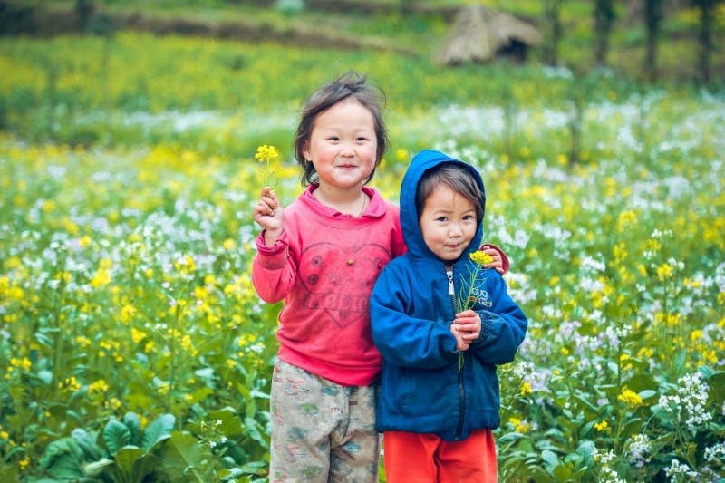 HÀ NÔI -HÀ GIANG MÙA HOA TAM GIÁC MẠCH 