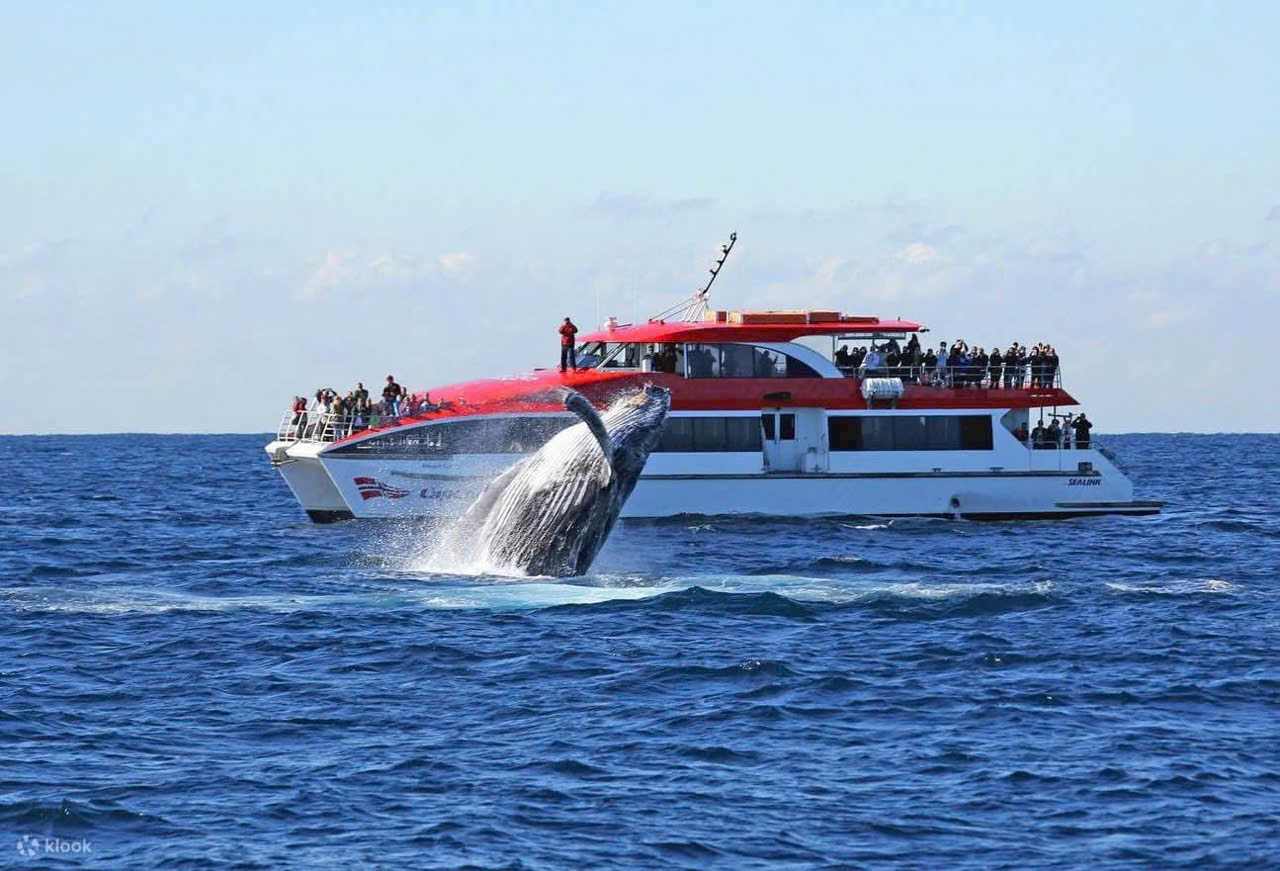 VISA DU LỊCH ÚC THEO TOUR CÓ DỄ  ĐẬU TOUR ÚC (AUSTRALIA) 2025 CHẤT LƯỢNG CAO BAY THẲNG TIẾT KIỆM THỜI GIAN VÀ CHI PHÍ TỪ HÀ NỘI MELBOURNE CANBERRA SYDNEY 8 NGÀY 7 ĐÊM 
