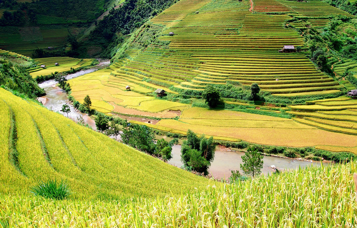 TOUR  HÀ NỘI  -YÊN BÁI - HỒ THÁC BÀ -TÚ LỆ - MÙ CANG CHẢI 3N2Đ KHÁM PHÁ SỰ HÙNG VĨ CỦA NÚI RỪNG TÂY BẮC QUA  NHỮNG RUỘNG BẬC THANG NỔI TIẾNG NHẤT  