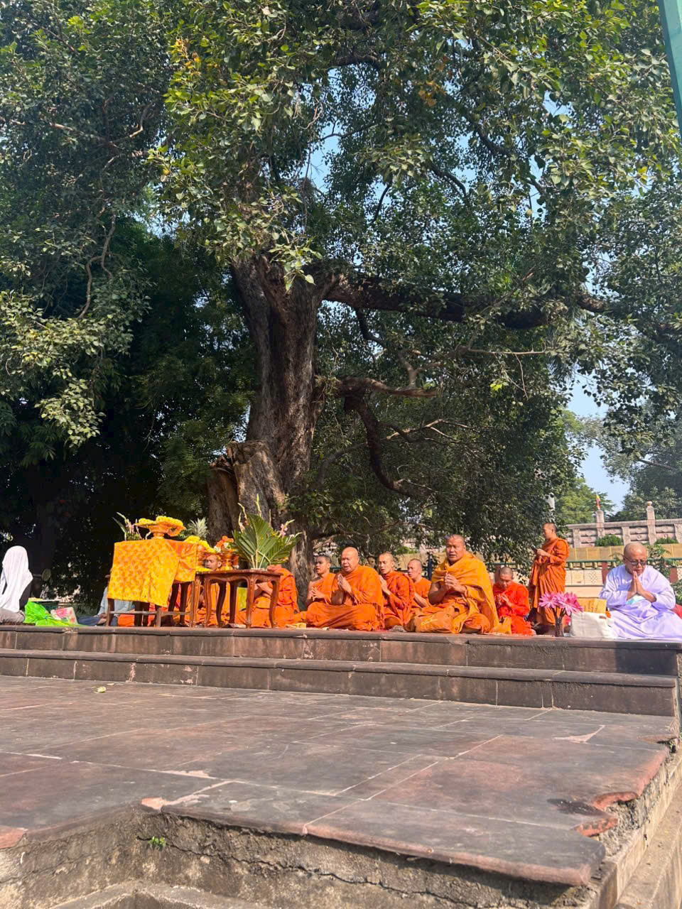 Đặt tour Việt Nam Ấn Độ Nepal 2026 -2027 Hành hương chiêm bái, đảnh lễ Xá Lợi Đức Phật bản rút gọn 4 ngày 4 đêm ghép khách lẻ từ Hà Nội TP HCM