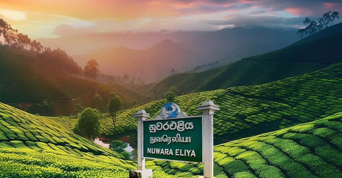 TOUR SRI LANKA 2027 BAY THẲNG VN/VJ TỪ VIỆT NAM HÀ NỘI/TP.HCM 6N5Đ GIÁ RẺ SIGIRIYA – KANDY – GALLE – COLOMBO TÌM VỀ  ĐẤT PHẬT CỔ XƯA 