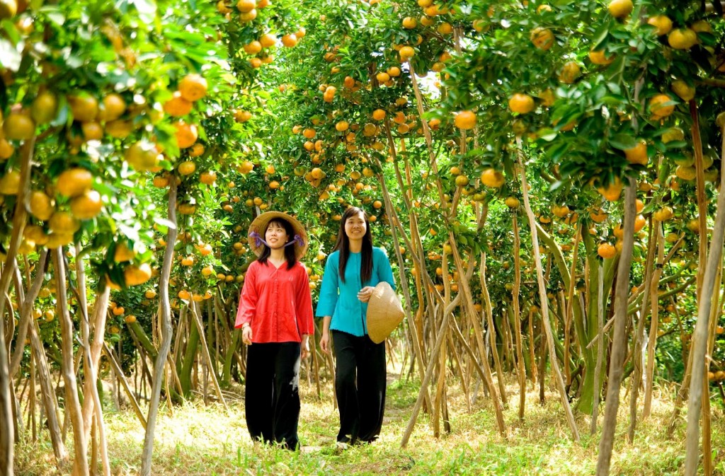 TOUR DU LỊCH MIỀN TÂY TRỌN GÓI HÀ NỘI - CẦN THƠ - SÓC TRĂNG - BẠC LIÊU - CÀ MAU- CHÂU ĐỐC -RỪNG TRÀM TRÀ SƯ- VIẾNG MIẾU BÀ CHÚA XỨ