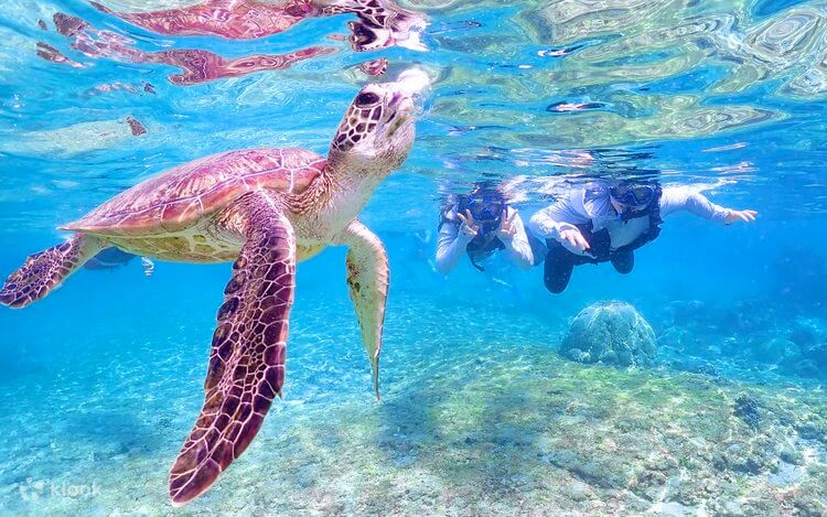 TOUR CEBU PHILIPPINES THIÊN ĐƯỜNG BIỂN ĐẢO BẢN RÚT GỌN 4 NGÀY 3 ĐÊM Khởi hành từ Hà Nội & TP.HCM
