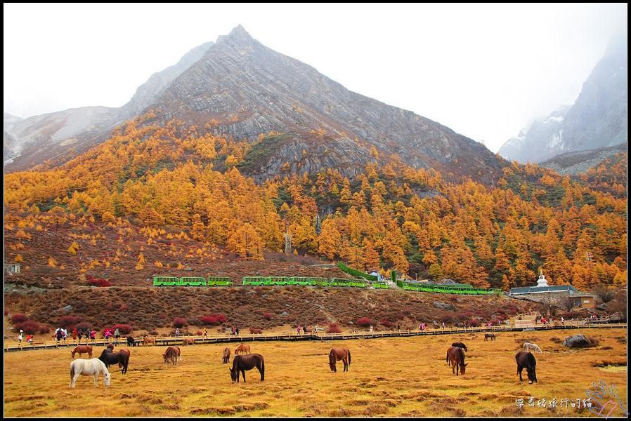 TOUR DU LỊCH THÀNH ĐÔ – Á ĐINH – ĐẠO THÀNH – KHANG ĐỊNH -SHANGRILA  7 NGÀY 6 ĐÊM TỪ HÀ NỘI - TP HỒ CHÍ MINH (SÀI GÒN) GIÁ KHUYẾN MẠI RẺ NHẤT THỊ TRƯỜNG TOUR NO SHOPPING NƠI THUẦN KHIẾT CUỐI CÙNG CHỐN NHÂN GIAN 
